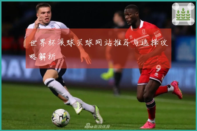 世界杯滚球买球网站推荐与选择攻略解析